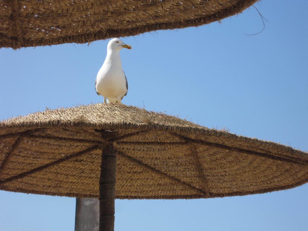 Hotel Riad Ben Atar Essaouira Luaran gambar